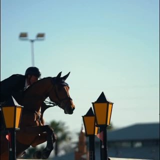 Real Club Pineda - Grand Prix 135 🔥🐴
@realclubpineda