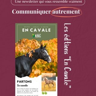 Communiquez autrement, avec une newsletter qui vous ressemble vraiment. 💌
La newsletter, ce n’est pas seulement un outil pour présenter vos produits ou vos offres.
C’est un espace d’expression qui vous permet de raconter une histoire, de construire votre image de marque et de créer un véritable lien avec votre communauté. ✨