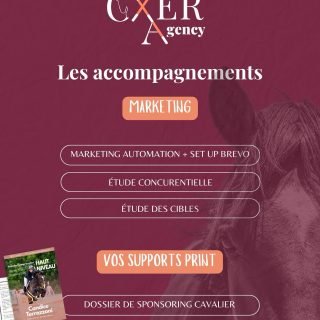 Côte marketing, on vous accompagne aussi !
Sur deux volets :
1. Notamment sur la mise en place de Brevo et ses scénarios de marketing automation 🚀
2. Vous lancez un projet dans la filière équine ? 🐴
Les étapes essentiels avant de vous lancer : étude concurrentielle + étude des cibles ✅
—
Pour finir, nous réalisons vos supports print 🎨
- Dossier de sponsoring cavalier
- Flyer ou brochure entreprise