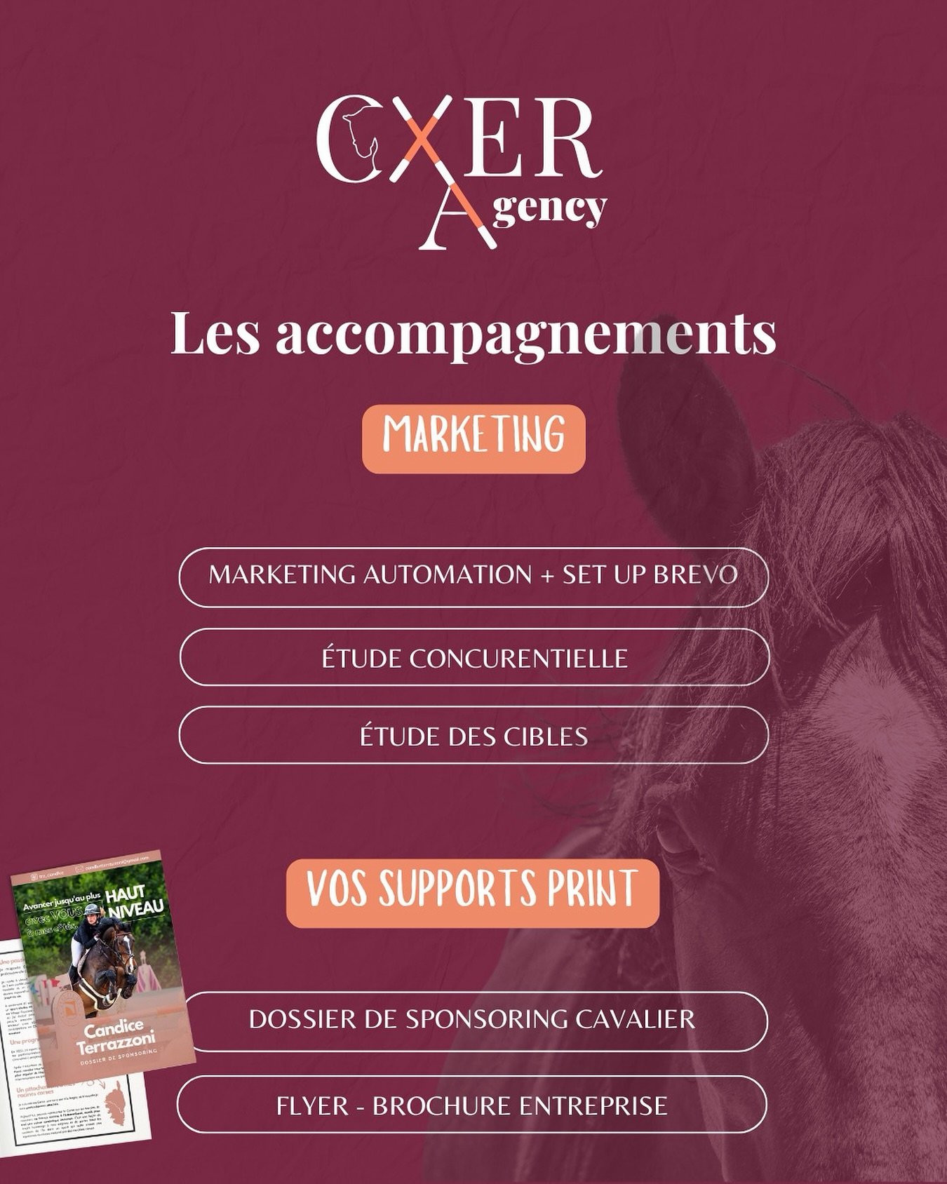 Côte marketing, on vous accompagne aussi !
Sur deux volets :
1. Notamment sur la mise en place de Brevo et ses scénarios de marketing automation 🚀
2. Vous lancez un projet dans la filière équine ? 🐴
Les étapes essentiels avant de vous lancer : étude concurrentielle + étude des cibles ✅
—
Pour finir, nous réalisons vos supports print 🎨
- Dossier de sponsoring cavalier
- Flyer ou brochure entreprise