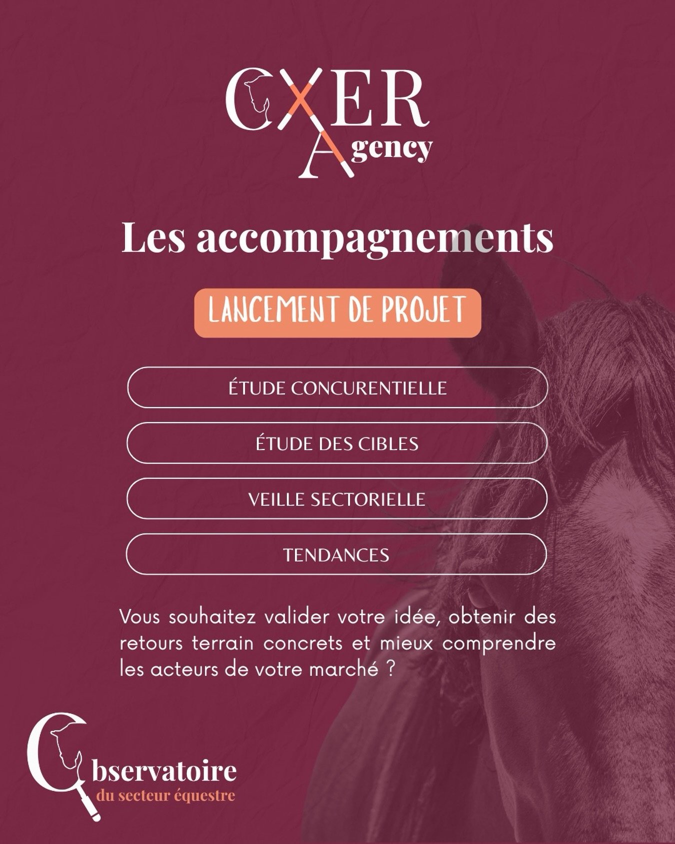 La suite des accompagnements 🚀
➡️ LANCEMENT DE PROJET
Vous lancez un projet dans la filière équine ? 🐴
Les étapes essentielles avant de vous lancer : étude concurrentielle + étude des cibles ✅
Nous réalisons également des veilles sectorielles pour suivre les nouveautés et évolutions de votre secteur.