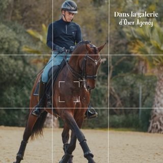 Dressage is all about finding your perfect dance partner. ✨

Petite rétrospective sur un shooting réalisé cet année pour un cavalier de dressage professionnel 🎬

L’objectif est de :

- mettre en avant son travail 🐴 et ses sorties en compétition 🏆
- mettre en lumière des chevaux d’élite destinés à la vente 💸