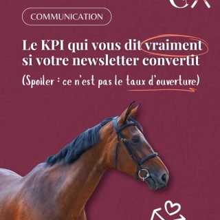 📊 Le KPI qui vous dit vraiment si votre newsletter convertit.
(Spoiler : ce n’est pas le taux d’ouverture 👀)

Quand on analyse une newsletter, on regarde presque toujours le taux d’ouverture en premier. Normal. 📬

Mais en réalité, ce chiffre vous dit surtout :
👉 si votre objet fonctionne
👉 et quelle part de votre base totale ouvre votre email

Ensuite, on passe souvent au taux de clics.
Utile… mais parfois trompeur 🤔 Pourquoi ?

Parce qu’il est calculé sur tous les emails délivrés, y compris ceux qui n’ont jamais été ouverts.

🎯 Le vrai indicateur à regarder, c’est le click-to-open rate (CTOR).
Il mesure le pourcentage de clics parmi les personnes qui ont réellement ouvert votre newsletter.

💡 Autrement dit :
👉 est-ce que votre contenu donne envie d’agir
👉 est-ce que votre message intéresse vraiment
👉 est-ce qu’il convertit ceux qui le lisent
(et pas forcément en ventes : ça peut être une redirection vers un article, un protocole, une ressource, etc.)

👀 Petit exercice :

Allez jeter un œil au click-to-open rate de votre dernière newsletter.
On est bien loin des statistiques du CTR « classique ».

Personnellement, je trouve cet indicateur bien plus pertinent : une personne qui n’a jamais ouvert votre email ne cliquera jamais dessus. Alors pourquoi l’inclure pour évaluer la performance de votre contenu ?
