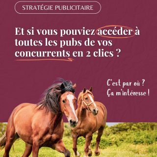 Et si vous pouviez accéder à toutes les pubs de vos concurrents en 2 clics ? 👀 🎯
C’est possible grâce à la bibliothèque publicitaire. ✅
Il vous suffit de taper “Ad Library” dans Google. 🔍
Et ensuite : renseigner le pays, la catégorie publicitaire et rechercher le concurrent souhaité en tapant directement son nom ou un mot-clé.
Vous accéderez à toutes ses publicités actives :
- date de début de diffusion
- les plateformes utilisées
- la description
- le visuel
- le CTA
Des insights précieux pour votre veille stratégique. L’idée n’est pas de reproduire, mais d’en extraire les bons enseignements. 💡
Vous accéderez aussi à des données de performance, comme la couverture. 📈
Et plus encore : le pays de diffusion et la répartition de la couverture par tranches d’âges et genre.
Pourquoi avons-nous accès à ces informations ? 🤔
La transparence !
Après plusieurs scandales liés aux élections, notamment l’affaire Cambridge Analytica, Meta a été contraint de renforcer la transparence de ses publicités.
Dès 2018, une première version de la bibliothèque publicitaire est lancée, initialement dédiée aux publicités politiques.
Pour aller plus loin, l’onglet “Rapport de la bibliothèque publicitaire” permet d’analyser les publicités politiques et sociétales en détail : montants investis, portée estimée, répartition des audiences…
Et vos publicités dans tout ça… sont-elles visibles aussi ? 👀
Oui ! ✅
Depuis 2019, la bibliothèque publicitaire ne se limite plus aux publicités à caractère politique : elle regroupe désormais les publicités de toutes les marques.
Cependant, une limite subsiste pour les annonceurs “classiques” : même si les publicités sont visibles, certaines données restent inaccessibles :
❌ le budget exact
❌ les performances (ROAS, conversions…)
❌ le ciblage précis
❌ les résultats business
Alors, pourquoi ne pas aller jeter un œil aux publicités de vos concurrents ? 🤫
Stratégie publicitaire - Marketing cheval - Communication filière équine - Oxer Agency - Agence de communication et marketing équestre - Meta Ads