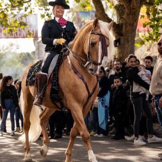 Eygalières 2026 💃🏻🤍
@festiviteseygalieres
Le beau défilé andalou de @melanie_bayle et les danseuses du @campo_flamenco_barbentane ✨
Partie 1/2
📸 @oxer_agency