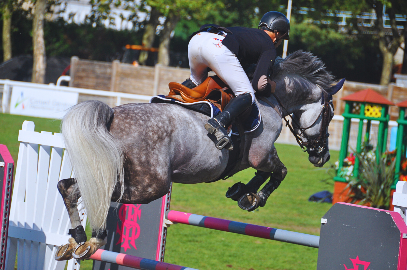 jumping vichy