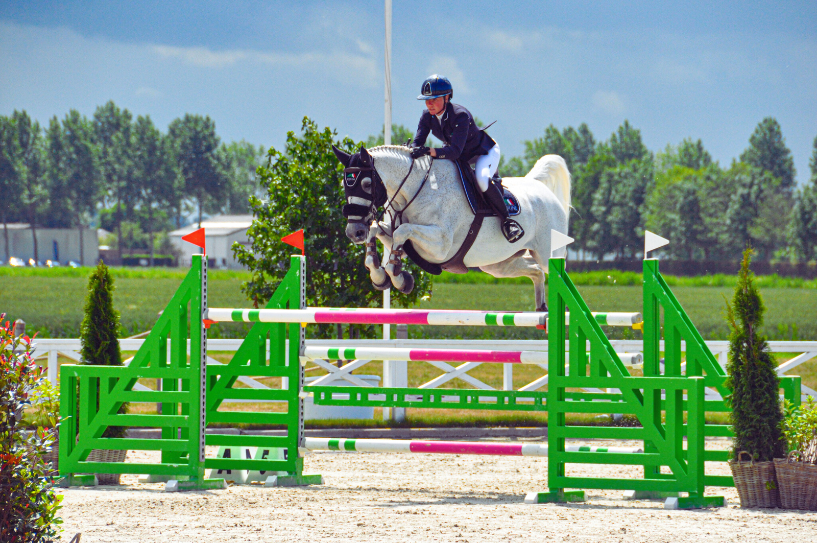 horse jumping