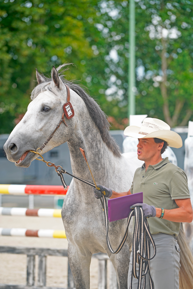 jumping vichy