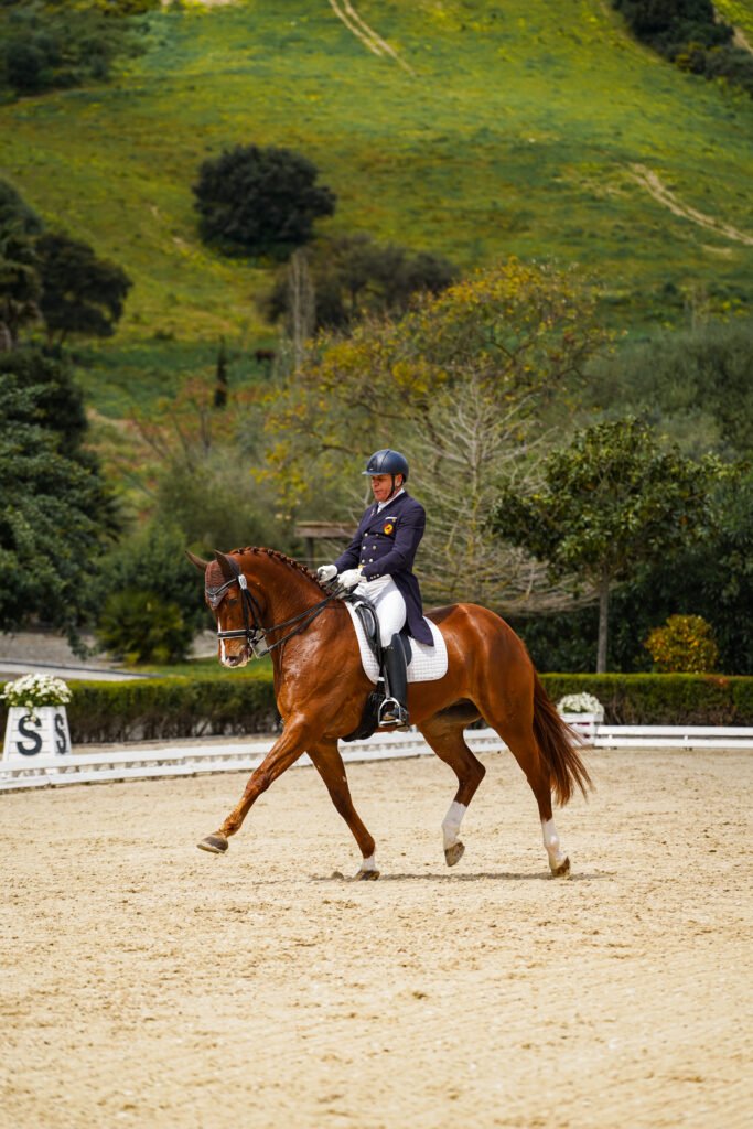 dos lunas dressage