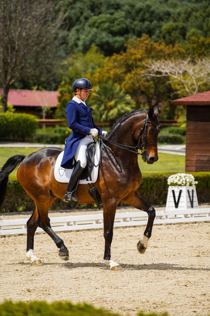 drressage