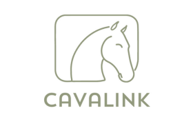 logo cavalink