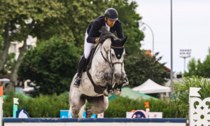 médiatisation sports équestres