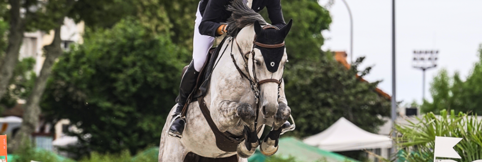 médiatisation sports équestres