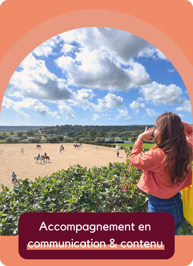 communication équestre