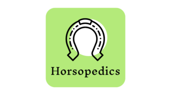 Horsopedics